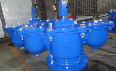 YFL Ductile iron double orifice air valves exported to Kenya