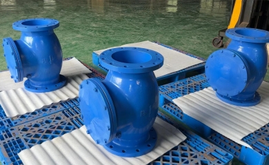 YFL DN250 Cast iron brass seal swing check valves exported to Philippines