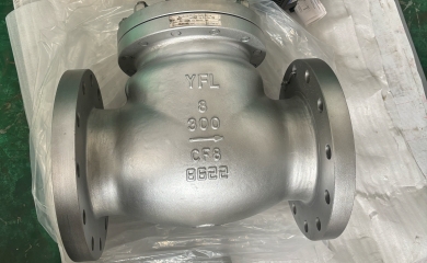 YFL Wear resistant ceramic swing check valve exported to USA 